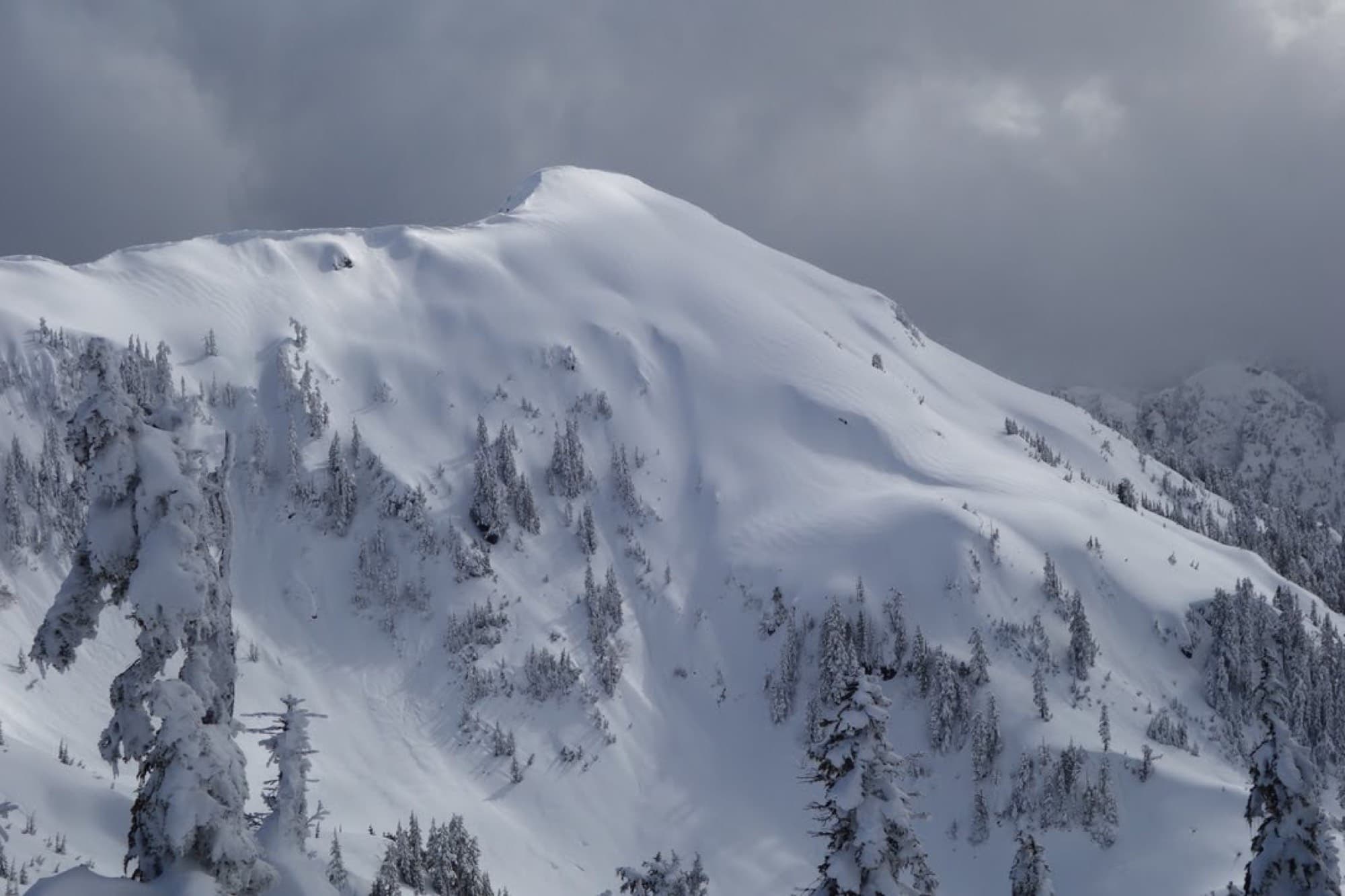 A wind-scoured summit ridge above snow-plastered trees under heavy grey cloud